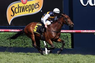 Aloisia (NZ) winning the Group 1 Thousand Guineas at Caulfield.